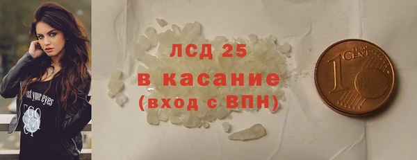 молекула духа Пестово