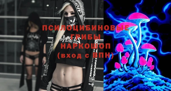 молекула духа Пестово