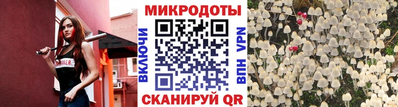 где найти наркотики  Киренск  Псилоцибиновые грибы MAGIC MUSHROOMS 